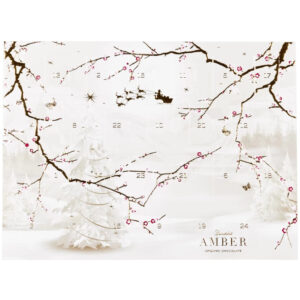 Summerbird - Amber Julekalender