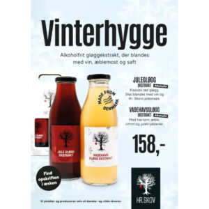 Hr. Skov - Vinterhygge