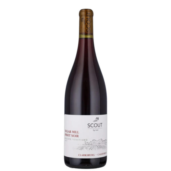2023 Scout by Leo "SUGAR MILL" PINOT NOIR WILSON VINEYARD-Californien