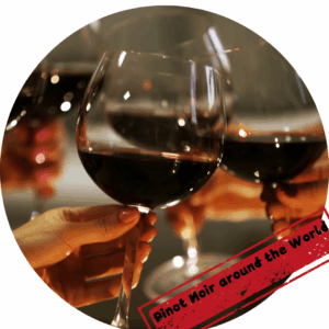 VINSMAGNING PINOT NOIR "AROUND THE WORLD" 2/10-2025