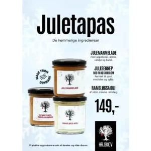 Hr. Skov - Juletapas