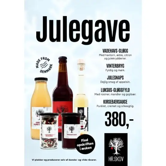 Hr. Skov - Julegaven